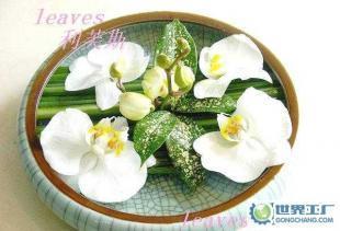 禮品花卉銷(xiāo)售 鮮花、觀葉植物與綠化租賃服務(wù)的綜合解決方案