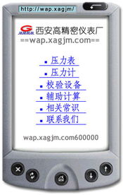 西安高精密儀表廠無(wú)線互聯(lián)網(wǎng)產(chǎn)品信息服務(wù)網(wǎng)站正式開(kāi)通